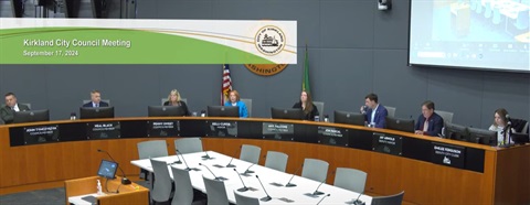 September 17 City Council Meeting Screenshot 