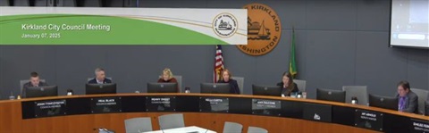 council meeting 20250109 screenshot.jpg