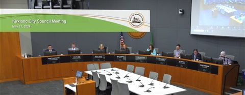 council-meeting-screenshot-20240521.jpg