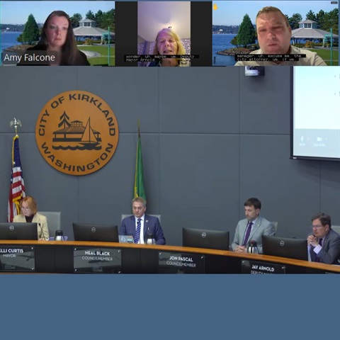 A still image from the City Council meeting on October 1 depicting four Councilmembers in person and three on Zoom