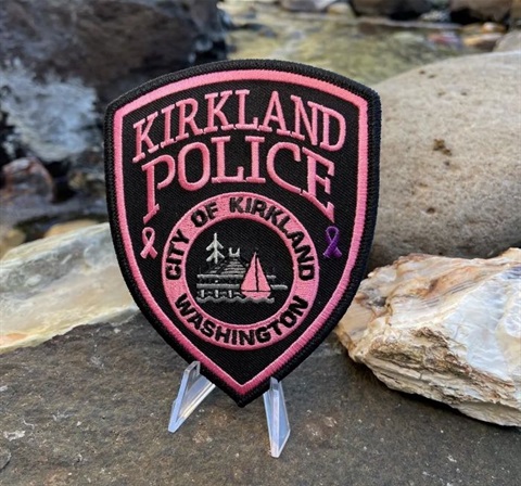 pink patch kpd 2024 small.jpg