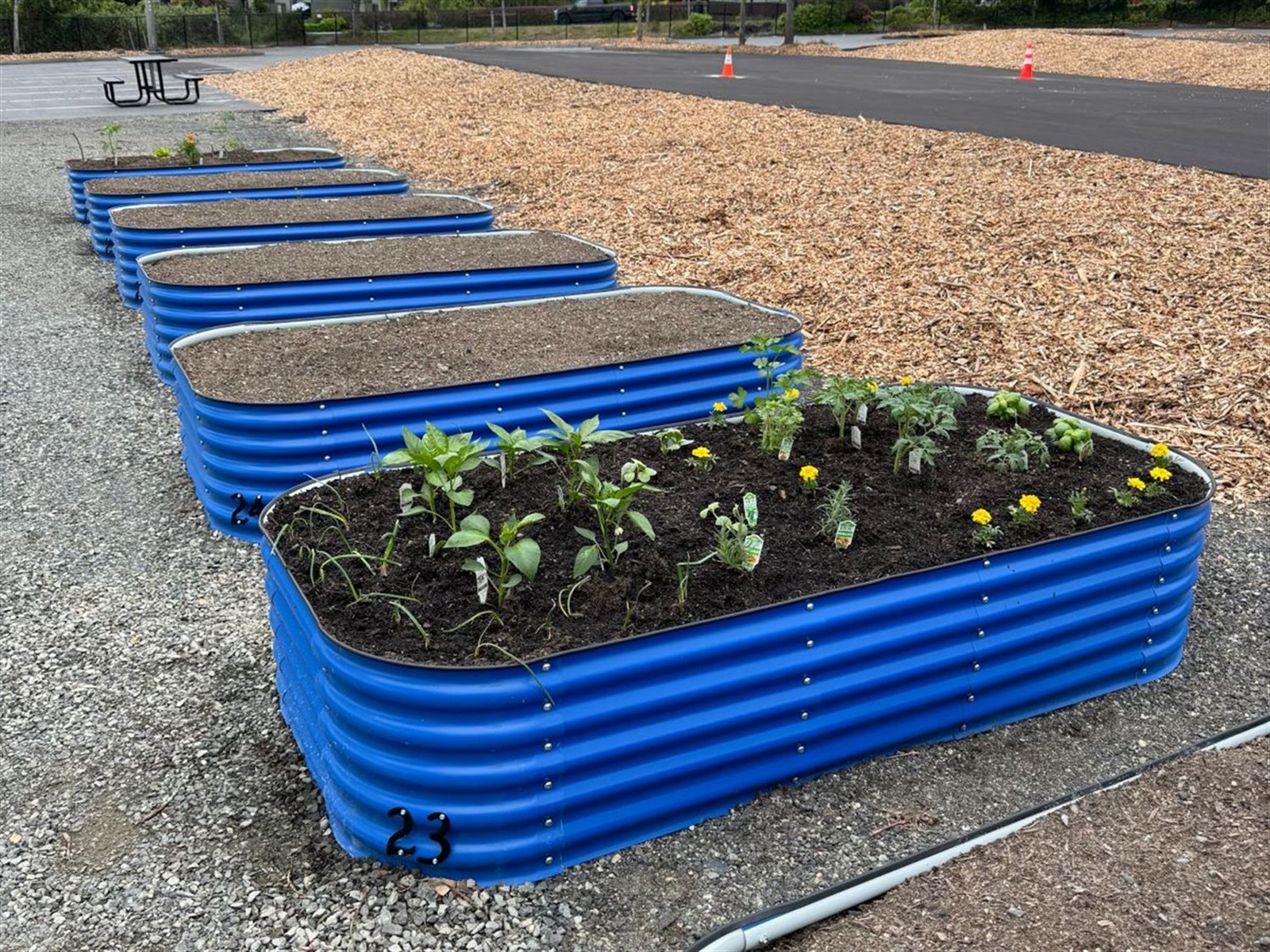 Raised Garden Beds at former Houghton Park and Ride